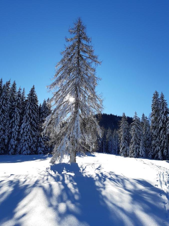 Wohnung In Kaernten Naehe Millstaettersee Fresach Εξωτερικό φωτογραφία